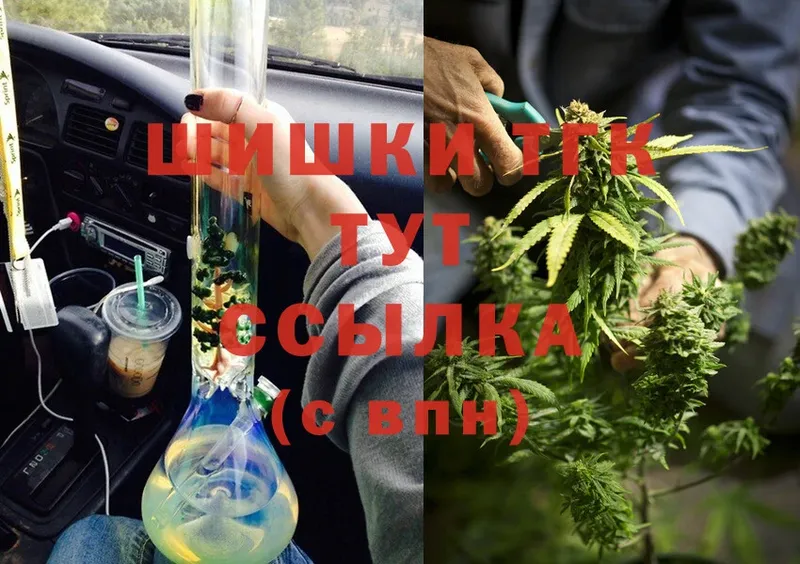 Бошки марихуана SATIVA & INDICA  купить наркотики цена  mega зеркало  Валдай 